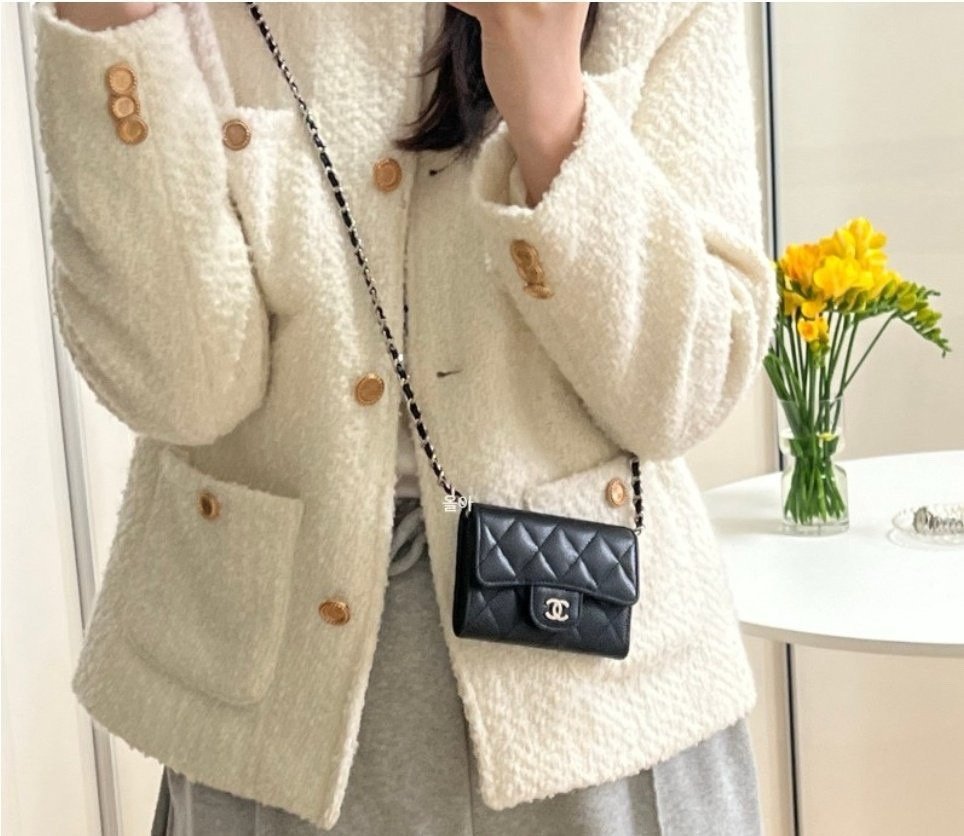 Read more about the article 샤넬 월릿 미니백 (가방)