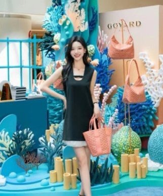 Read more about the article 고야드 벨하라 PM 가방