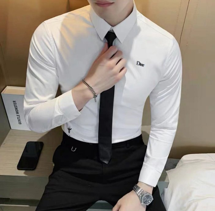 Read more about the article 디올 스틸 로고 벌 자수 실켓 셔츠