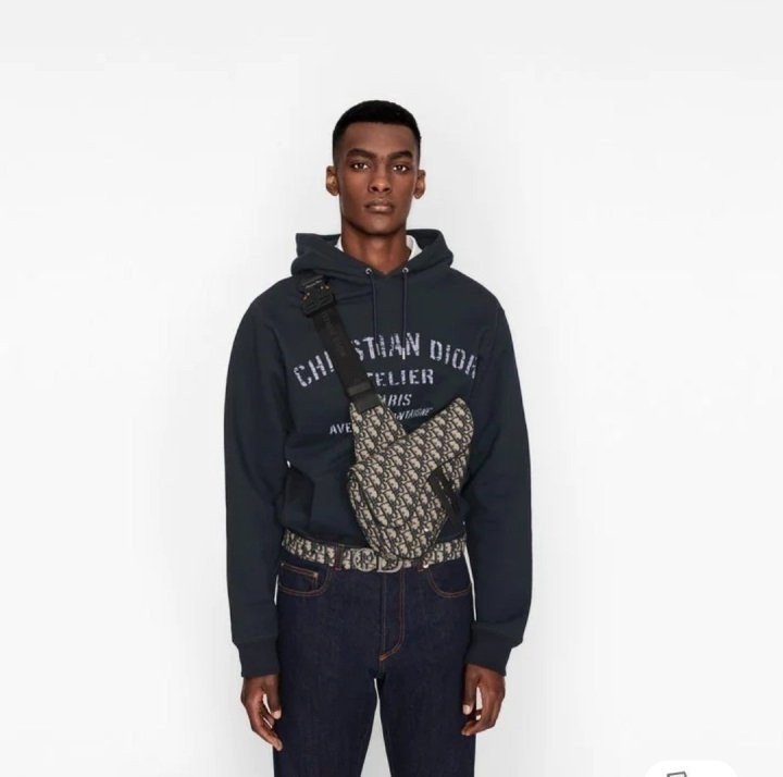 Read more about the article 디올 새들 벨트백 (가방)