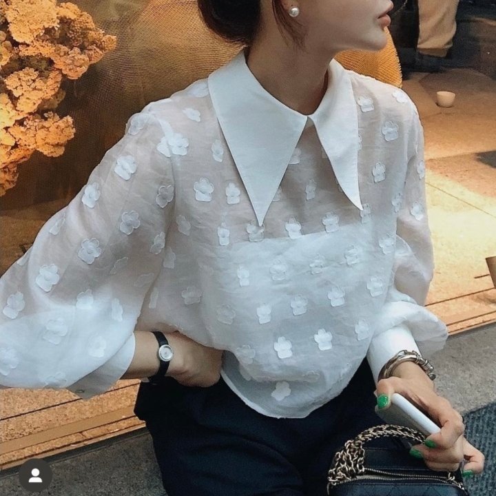 Read more about the article 디올 여성 플라워 시스루 크롭 블라우스