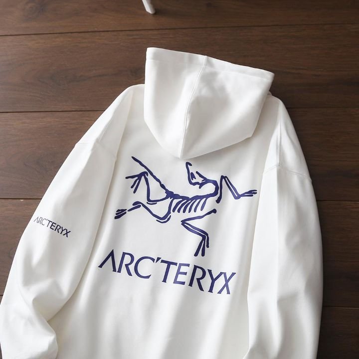 Read more about the article 아크테릭스 루즈라인 후드티