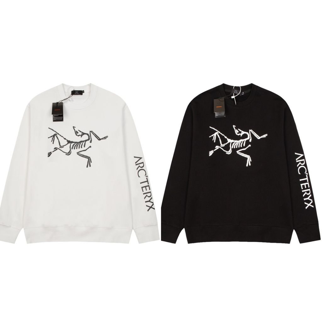 Read more about the article 아크테릭스 팔나염 맨투맨