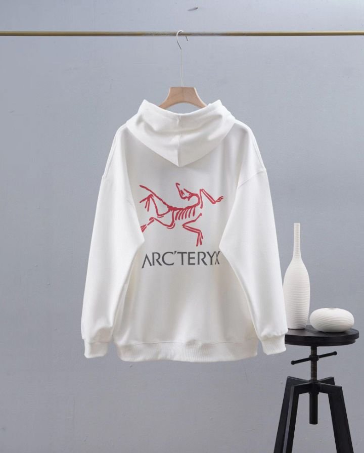 Read more about the article 아크테릭스 아메리칸 배색 후드티