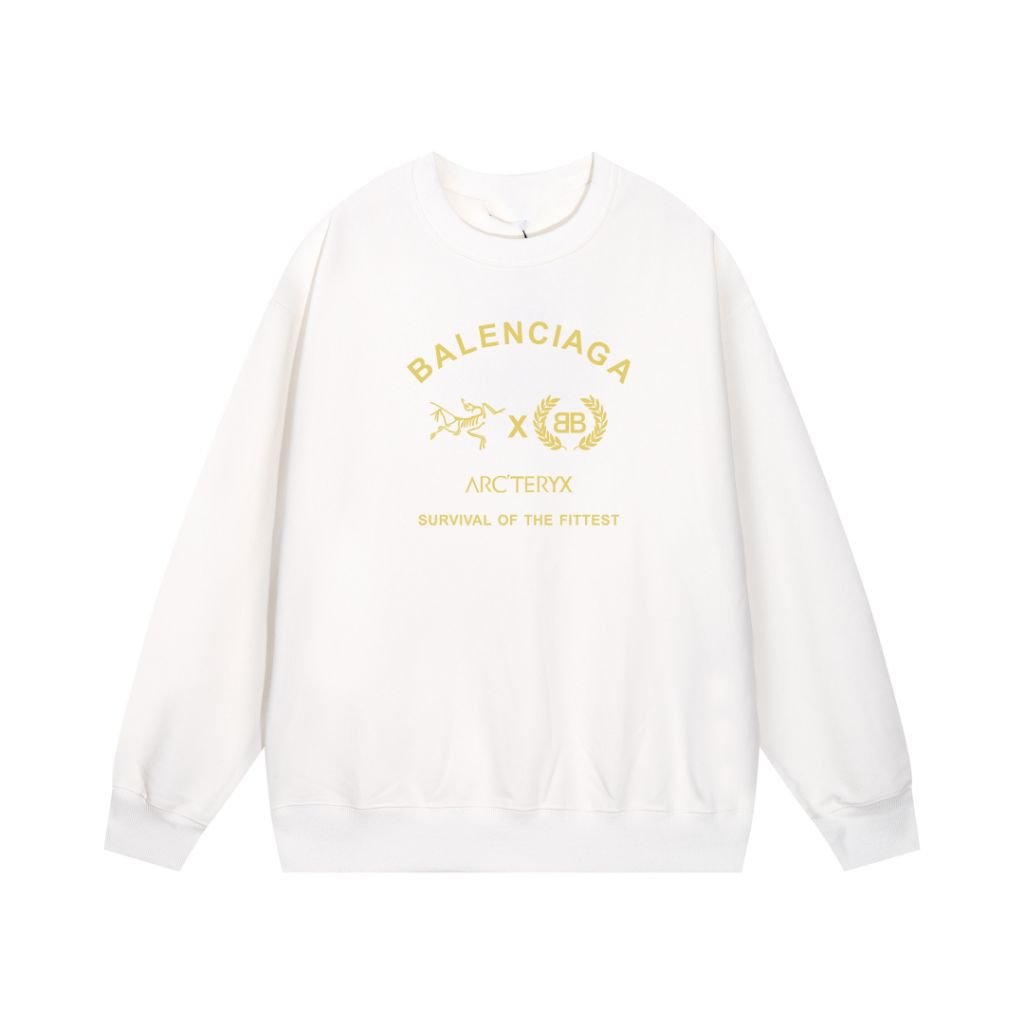 Read more about the article 아크테릭스 X 발렌시아가 콜라보 맨투맨