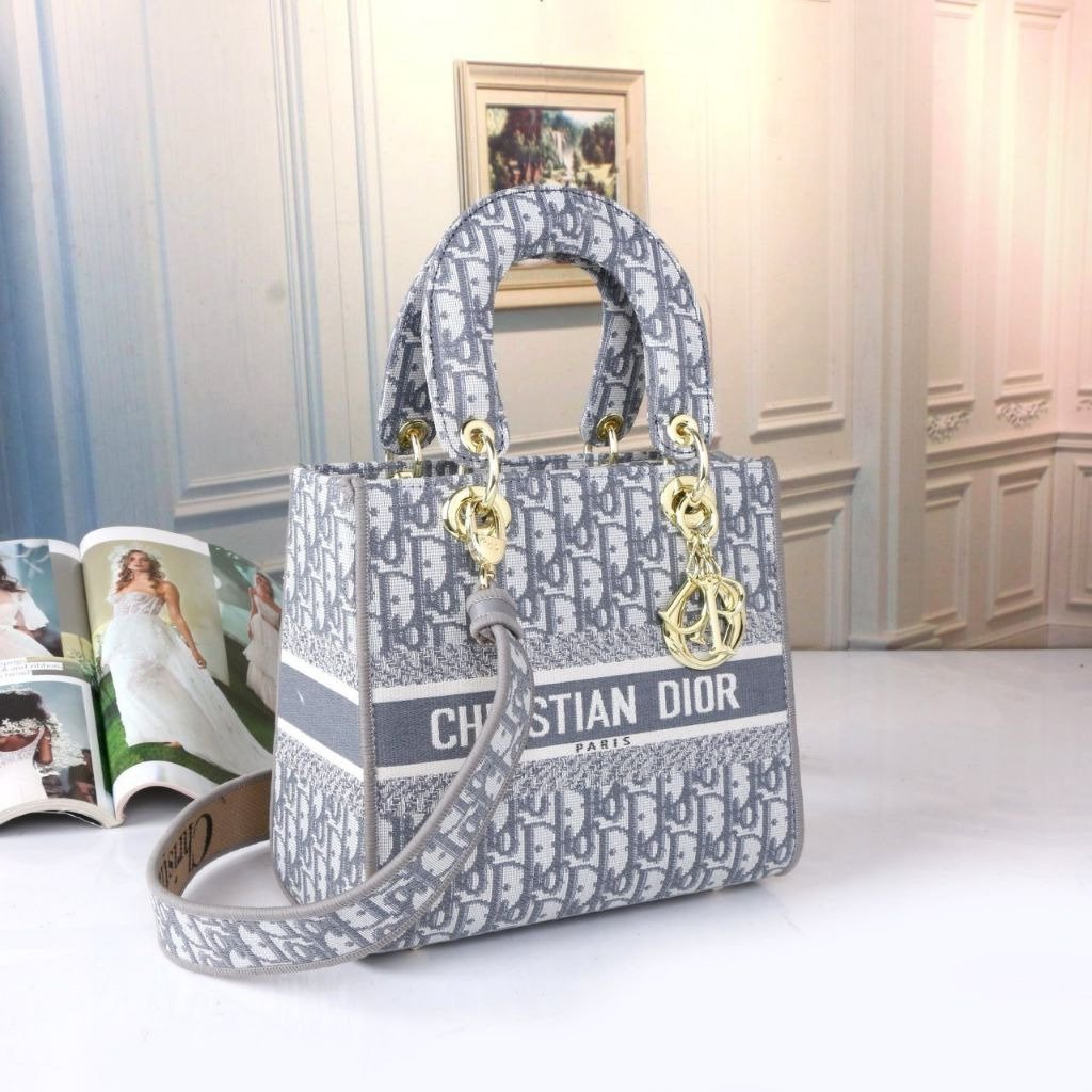 Read more about the article 디올 오블리크 레이디백 그레이 (가방)