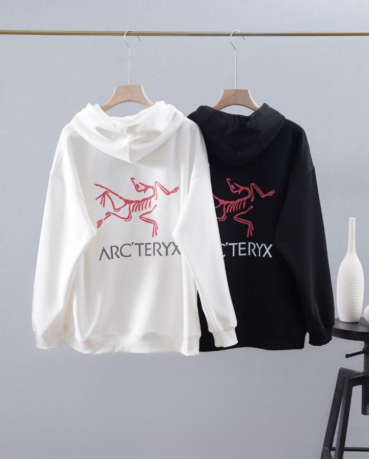 Read more about the article 아크테릭스 아메리칸 배색 후드티