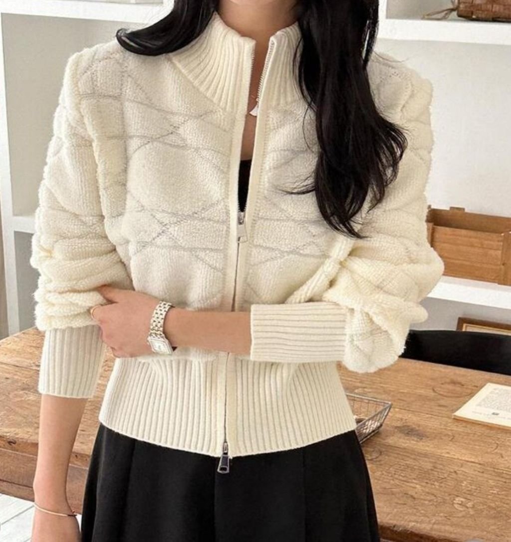 Read more about the article 디올 여성 니트 집업