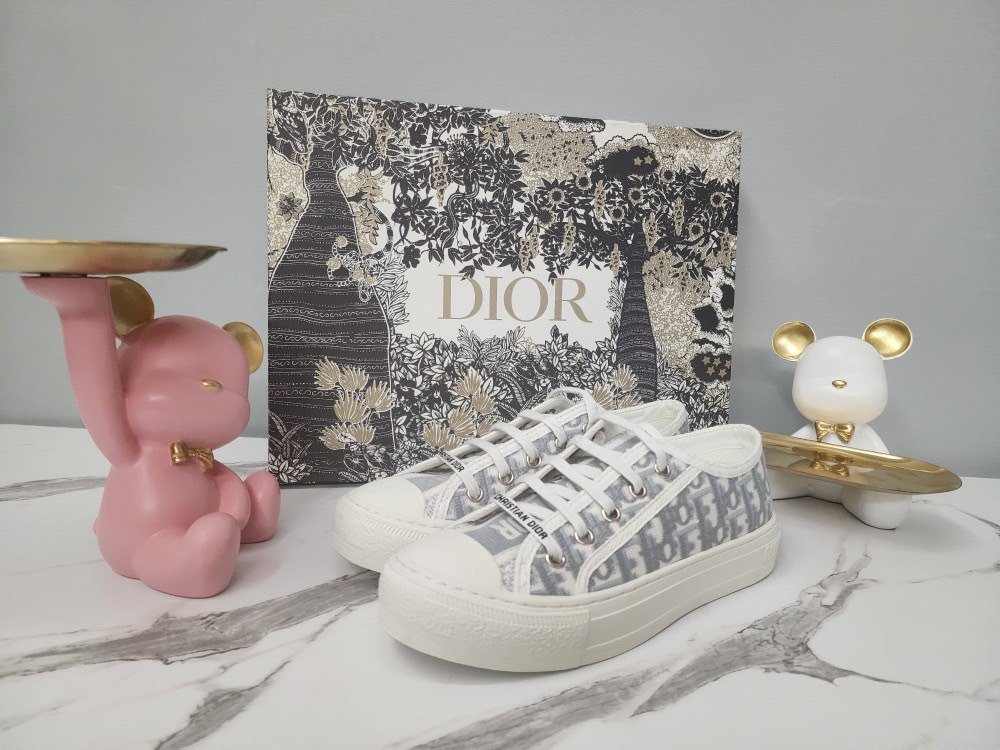 You are currently viewing 디올 워크앤 자수 스니커즈 그레이 (신발)