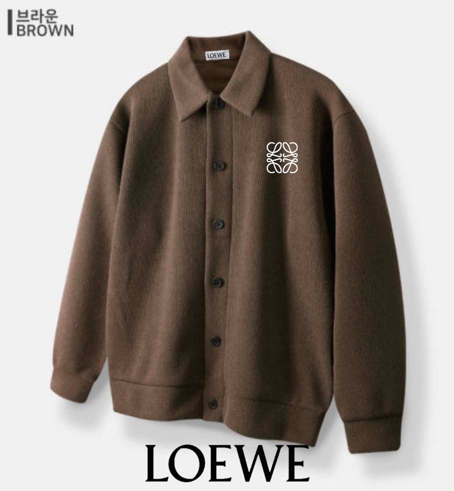 Read more about the article 로에베 브렌디 가디건