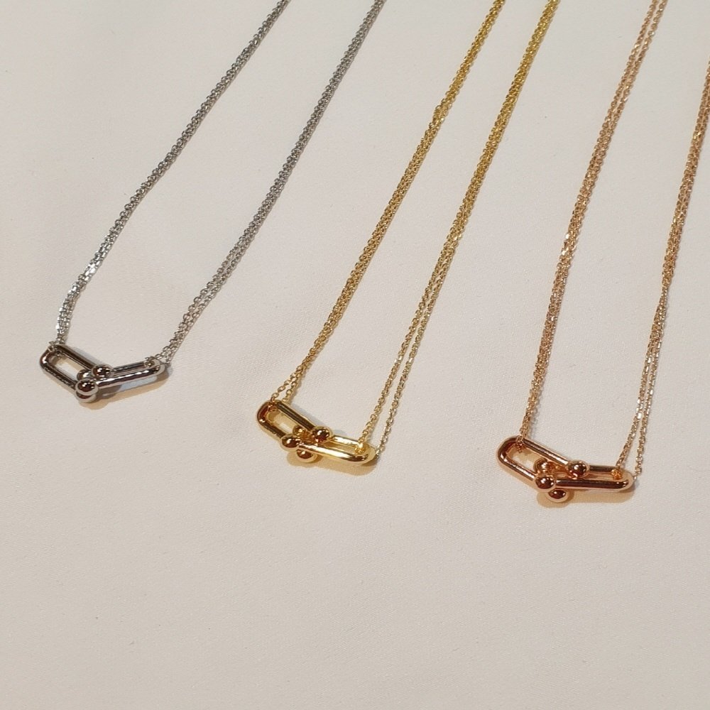 You are currently viewing 티파니 더블 링크 목걸이